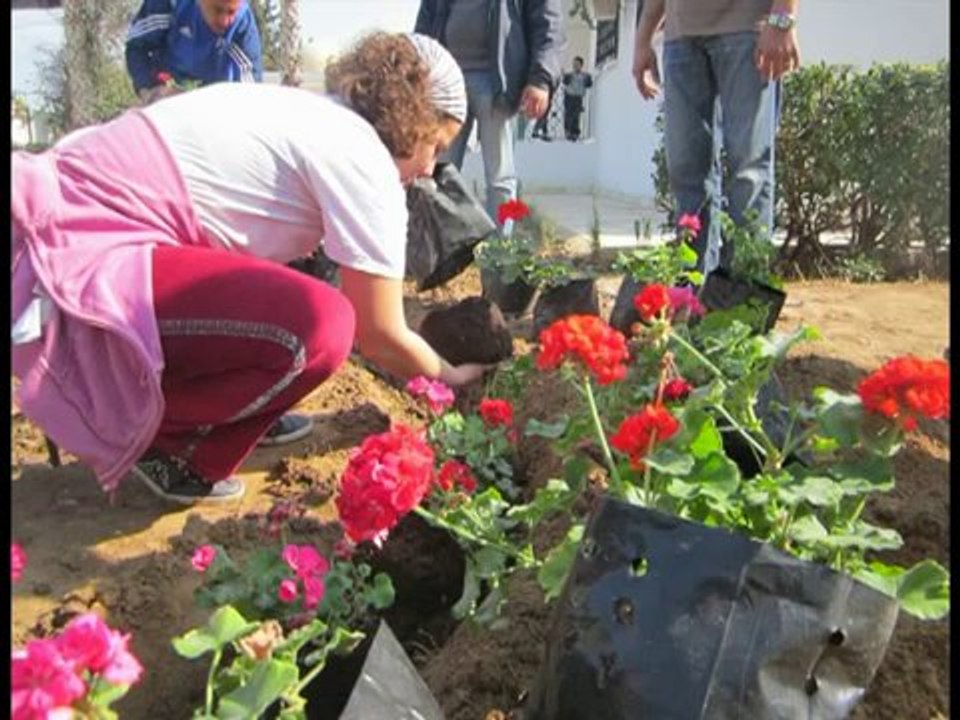 A Step for a Green Future