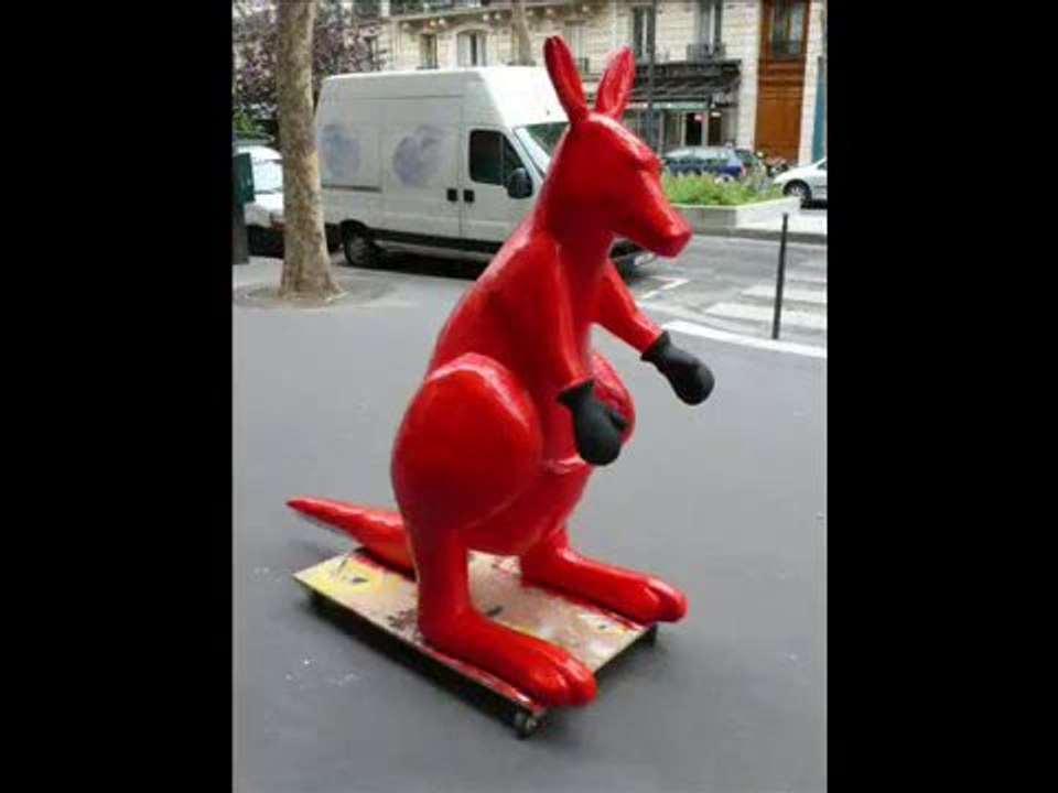 La naissance de big kangourou