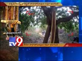 Teak Wood smuggling in Papikondalu exposed - Tv9 Nigha