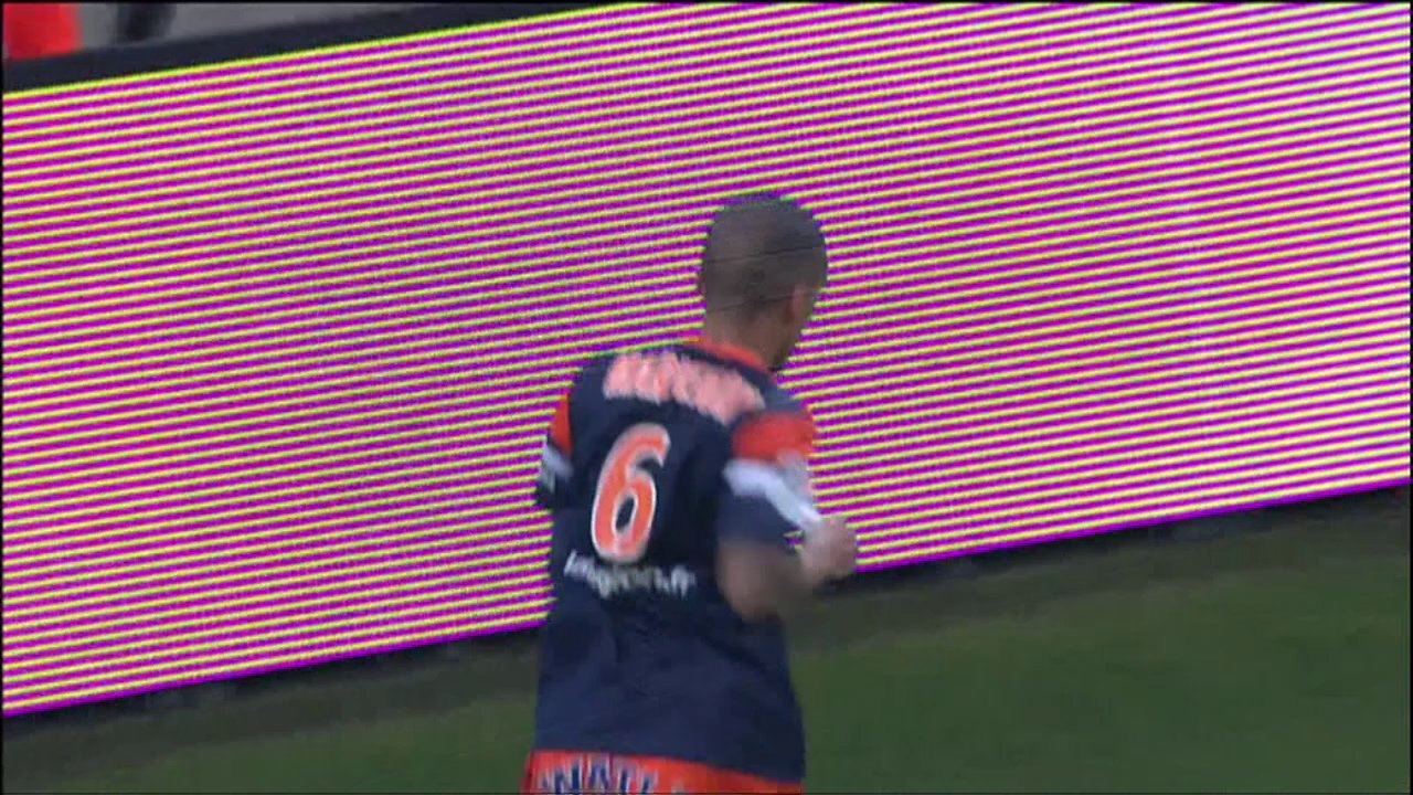 But Joris MARVEAUX (29ème) - Stade de Reims - Montpellier Hérault SC - (2-4) - 01/02/14 - (SdR-MHSC)