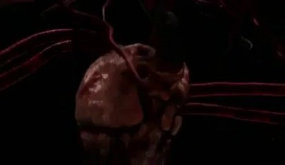 The Hidden Dangers: How Smoking Harms Your Body 🚭