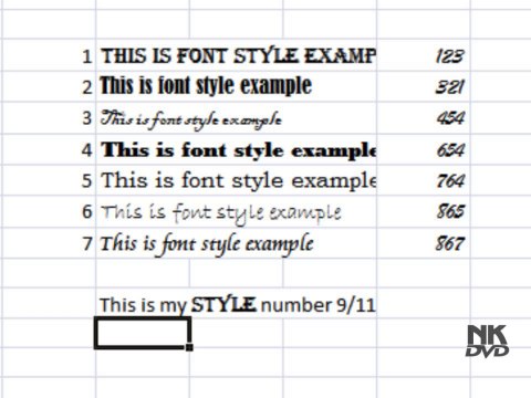 Lesson 07 The Font Style Microsoft Office Excel 2007 2010 free Educational video Training Tutorials in Urdu Hindi language