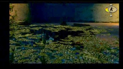 The Shadow of Zorro (PS2, PC) Walkthrough Part 9