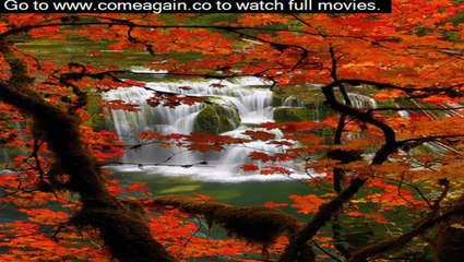 when does flight with denzel washington come out