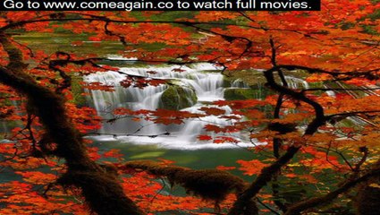 denzel washington flight online