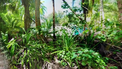 Photo Sphere App for Android 📸