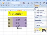 Lesson 26 The Protection Microsoft Office Excel 2007 2010 free Educational video Training Tutorials in Urdu Hindi language