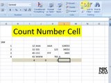 Lesson 29 The Count Number Microsoft Office Excel 2007 2010 free Educational video Training Tutorials in Urdu Hindi language