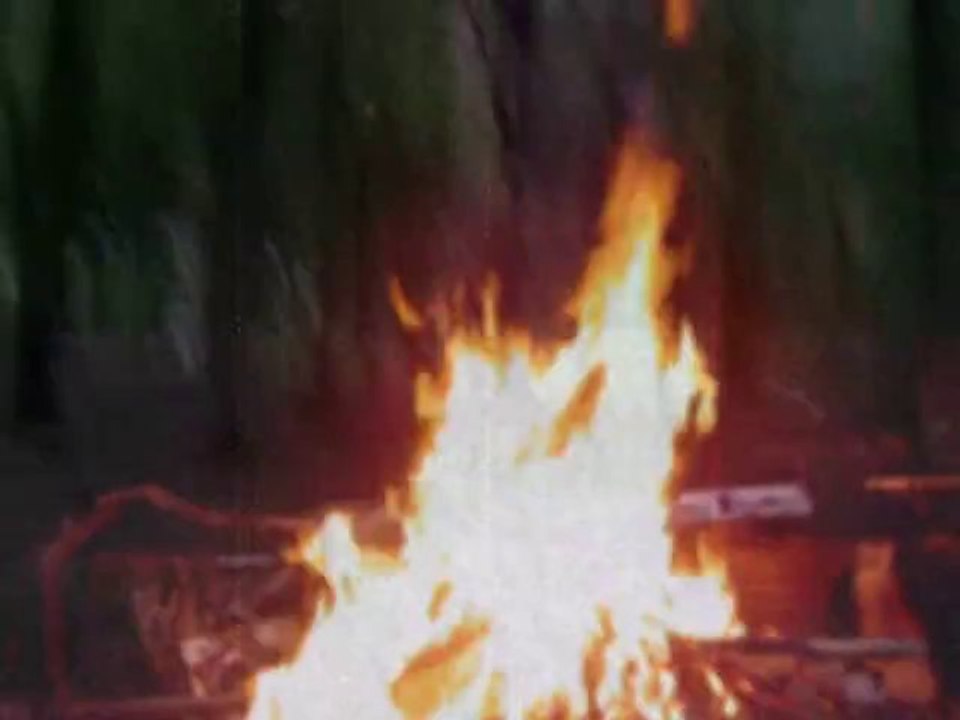 The Congos - Don't Blame It On I