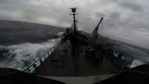 Sea Shepherd vessel collides with Japanese whaling boat