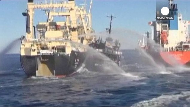 Anti-whaling activists accuse Japan of ramming vessel