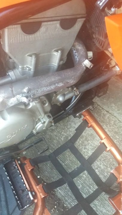 bruit moteur dinli 450 2