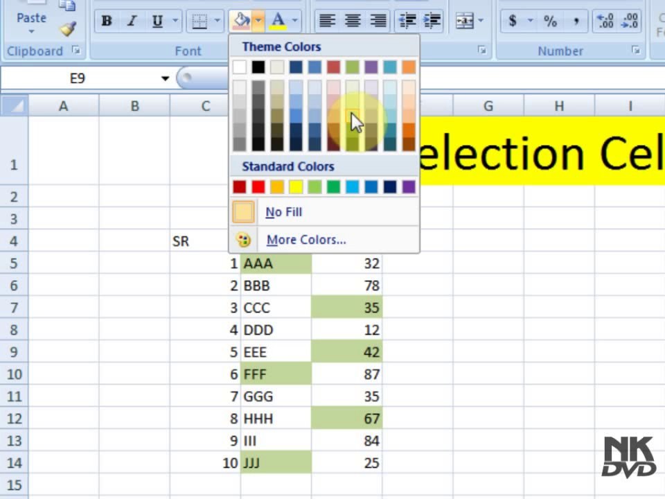 Lesson 41 The Selection Microsoft Office Excel 2007 2010 free Educational video Training Tutorials in Urdu Hindi language