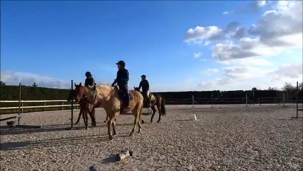 cheval saut 1