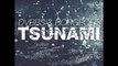 DVBBS * Borgeous * Predators - Tsunami ( RMX)