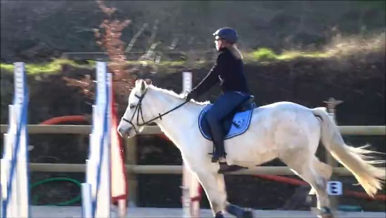 cheval saut 4