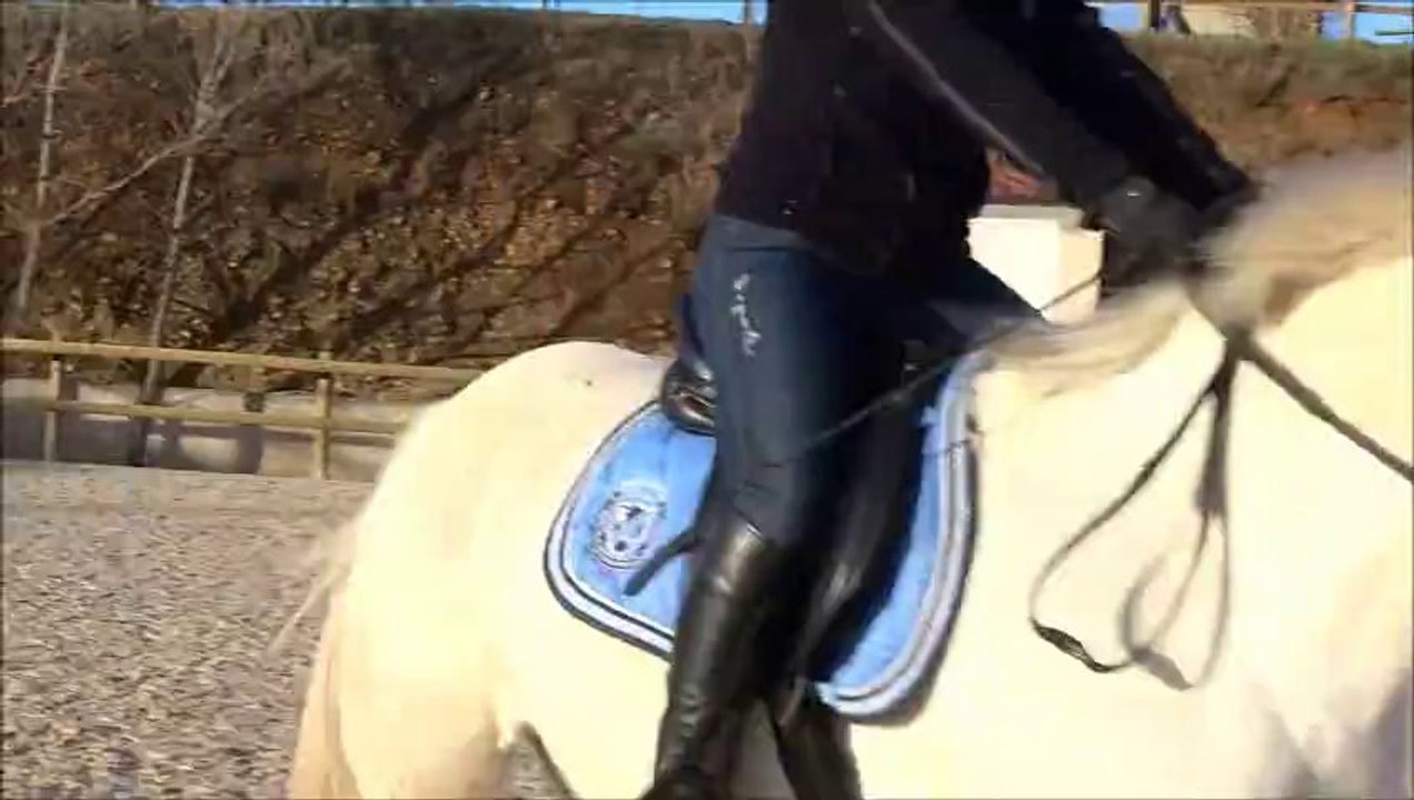 cheval saut 5