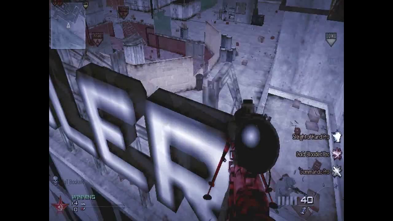 PRIVSHOT #2 [MW2 - PC]