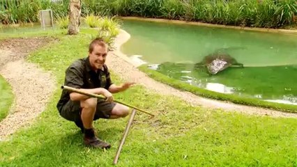 Animal Planet Tim Faulkner'ın Vahşi Yaşamı