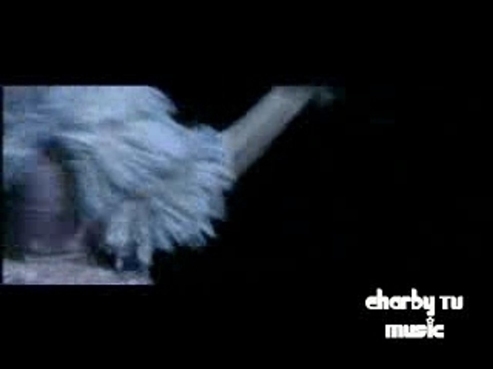 Le roi Soleil - Mon Essentiel LIVE