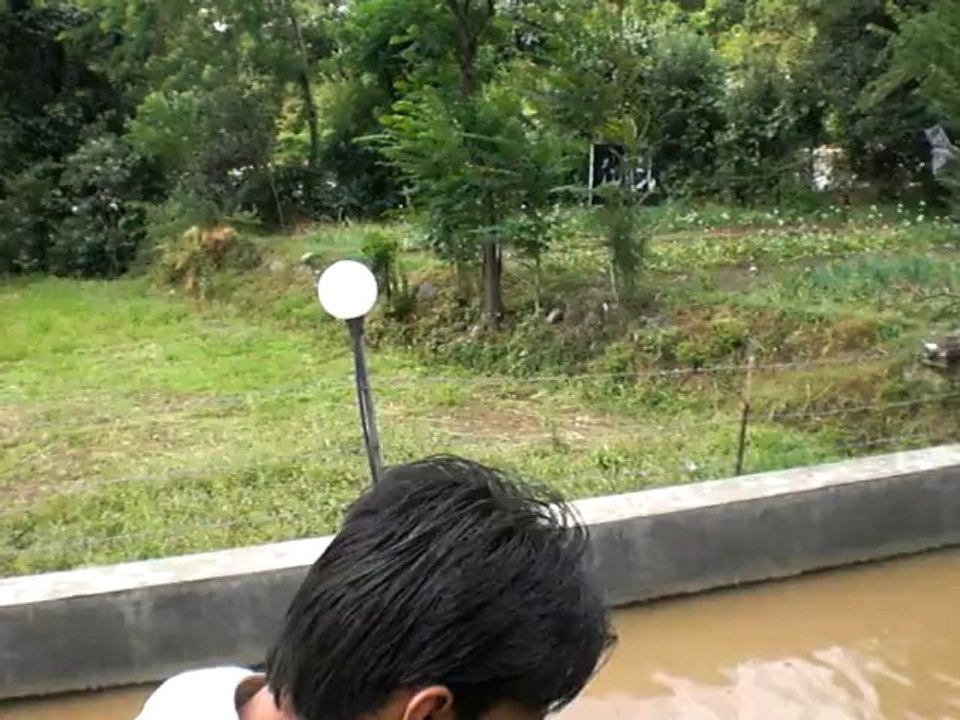 Trout Fish Farm House at Kalam