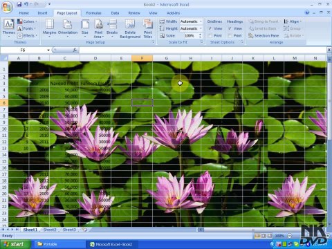 Lesson 71 The Background Page Setup Microsoft Office Excel 2007 2010 free Educational video Training Tutorials in Urdu Hindi language