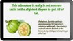 Garcinia Cambogia Elite - Why In Case You Use Garcinia Cambogia Extract?