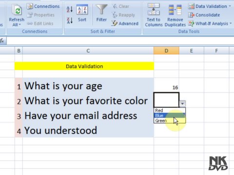 Lesson 79 The Data Validation Microsoft Office Excel 2007 2010 free Educational video Training Tutorials in Urdu Hindi language