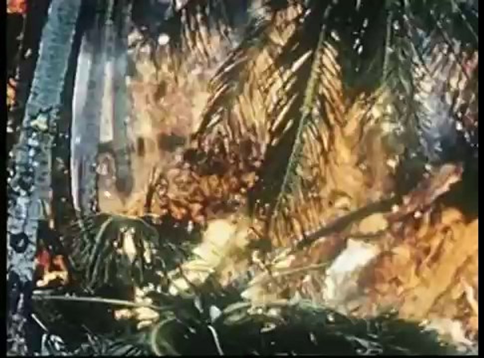 Vulkane - Zeitbomben der Erde