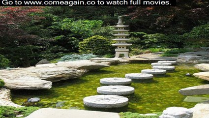 denzel washington 2012 flight