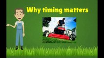 The Basics of Caring for Grass & Lawn