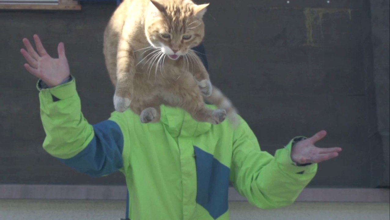 Naturally Fredy Kalbermatten  2013 FULL PART