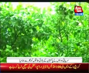 Pakistan's upper areas cold again