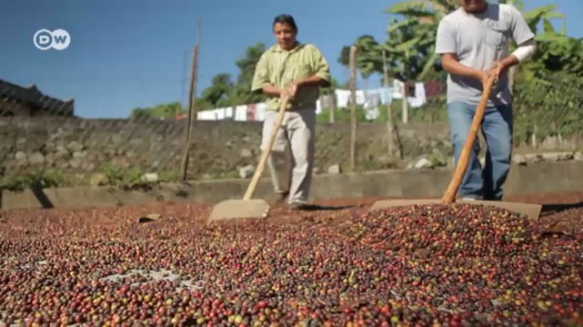 Biodiversität Mexiko: Leben am Tacaná-Vulkan | Global 3000
