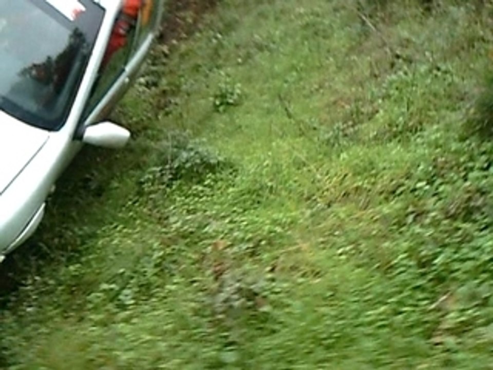 Peugeot crash
