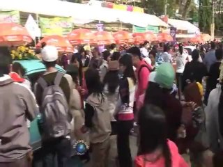 Cẩm Ly - Đà Lạt Hoàng Hôn