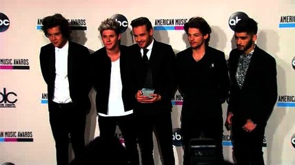 1D Fans Furious Over Zayn Malik Video Snub