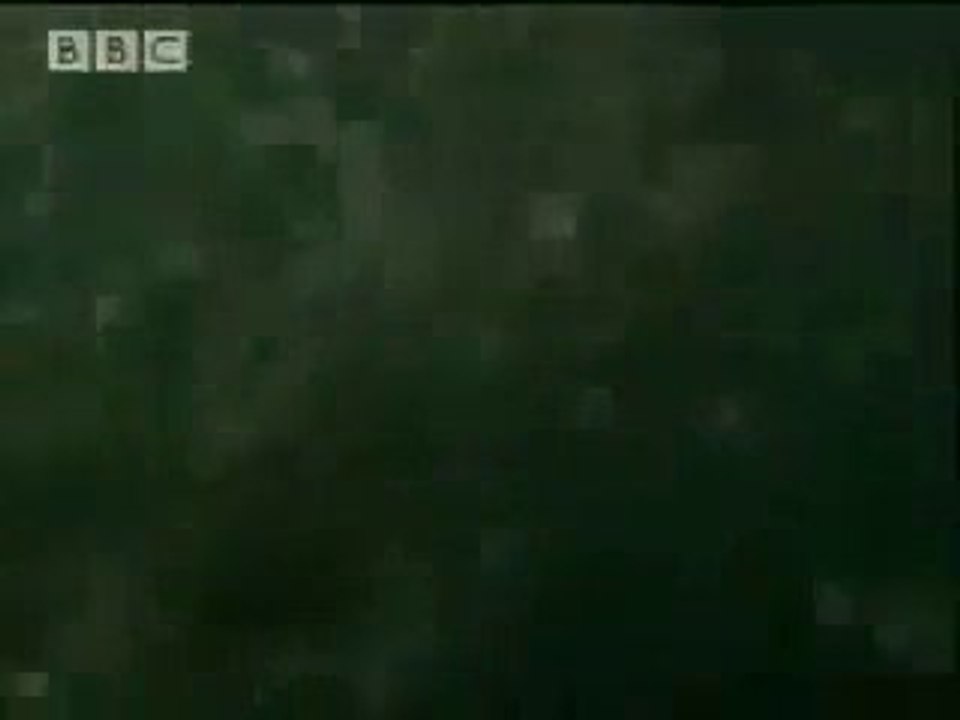 Subhan Allah