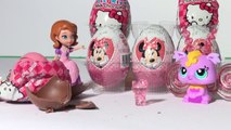 6 Surprise Eggs opened by The Little Pet Shop Sweet Pop Fairy, and Disney's Sofia Princess