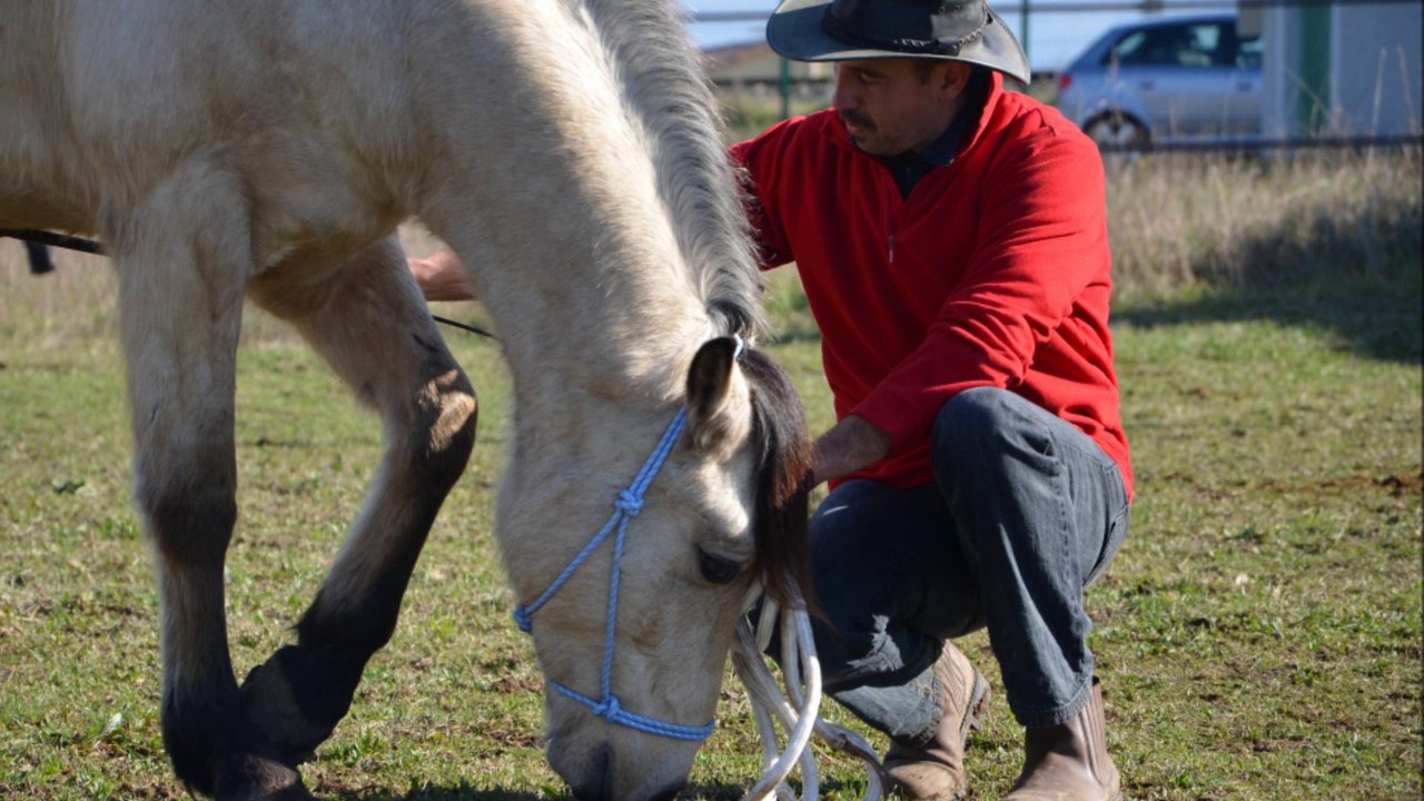 2 ème séance de liberté...