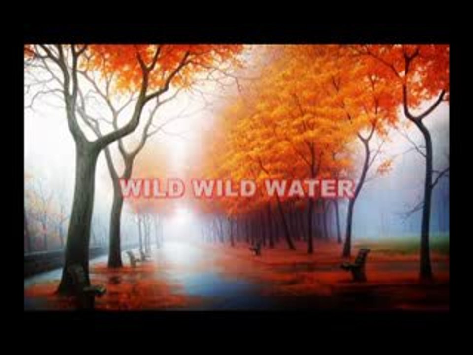 Modern Talking - Wild Wild Water (instrumental)