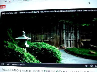 DELİ GÜNÜLE HANGİ DALA KONARSİN