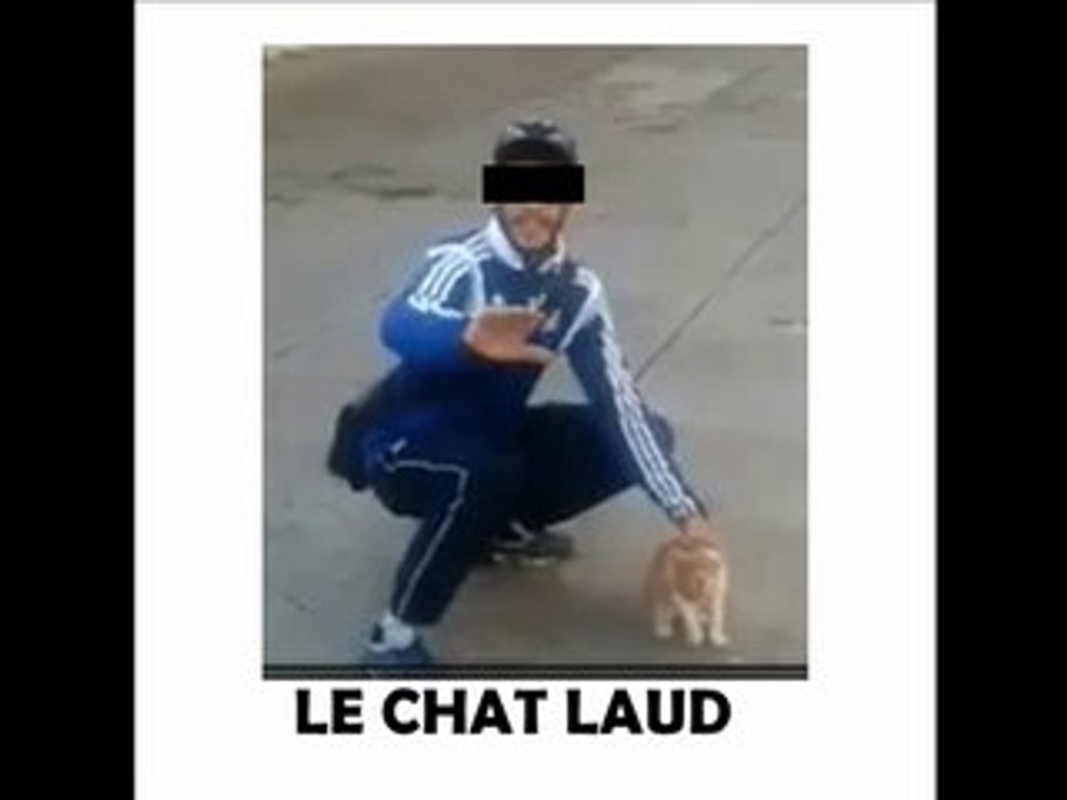 lancer de chat Farid en prison