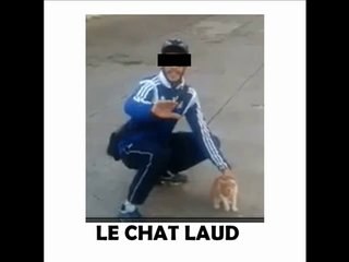 lancer de chat Farid en prison