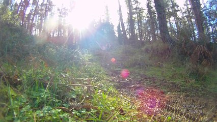 Oficial Febrero Las Lomas Goyopark