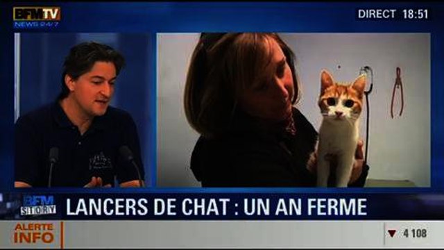 BFM Story: L'auteur des lancers de chat condamné à un an de prison ferme - 03/02