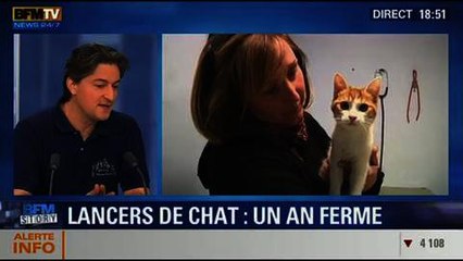 BFM Story: L'auteur des "lancers de chat" condamné à un an de prison ferme - 03/02