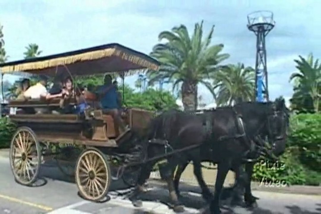 Let's Visit  Bermuda