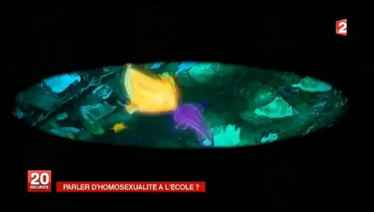 Le baiser de La Lune (théorie du genre) — France2