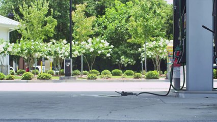 Black Tusk - Truth Untold